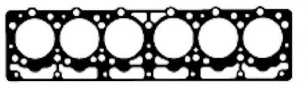 PAYEN BW480 Прокладка, головка циліндра