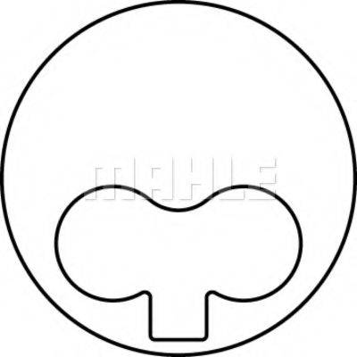 MAHLE ORIGINAL 0093800 Поршень