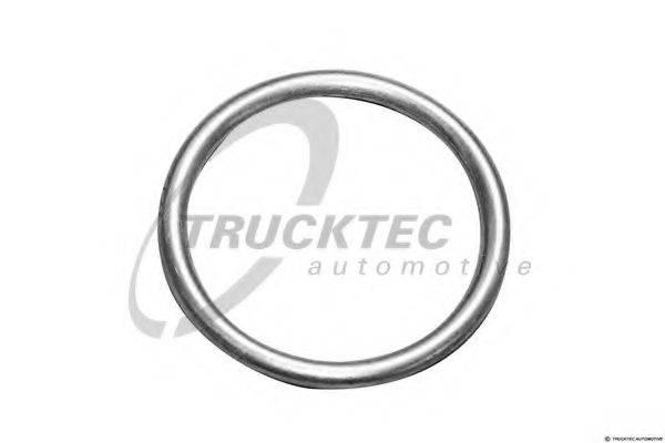 DAF 0331 341 Кільце ущільнювача, різьбова ін; Ущільнювальне кільце