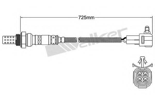 WALKER PRODUCTS 250-24336