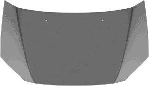 VAN WEZEL 8251660 Капот двигуна