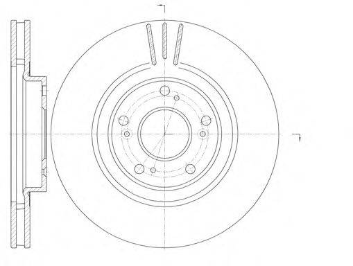 WOKING D676310 гальмівний диск