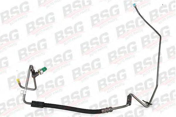 BSG 30-725-034 Гідравлічний шланг, кермо