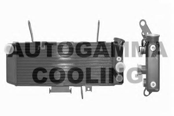 AUTOGAMMA 104342 Радіатор, охолодження двигуна