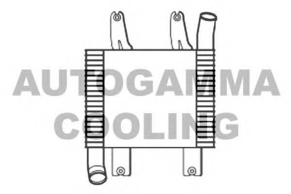 AUTOGAMMA 107071 Інтеркулер