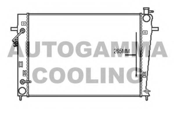 AUTOGAMMA 107376 Радіатор, охолодження двигуна