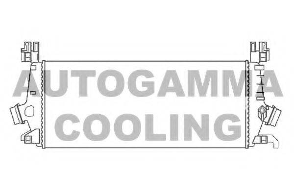 AUTOGAMMA 107484 Інтеркулер