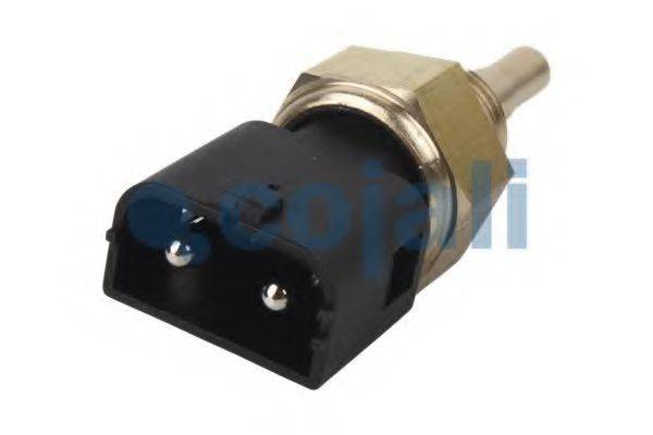 COJALI 2260223