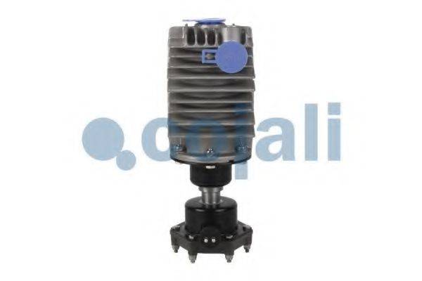 COJALI 2480001 Фільтр пневматичної системи