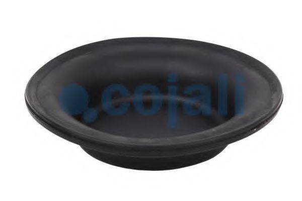 COJALI 6001120