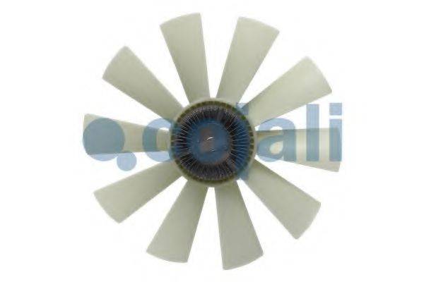 COJALI 7031241