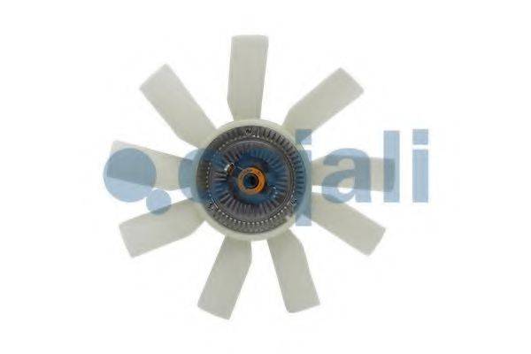 COJALI 8124145