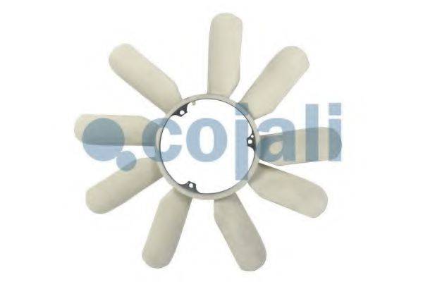 COJALI 8124601