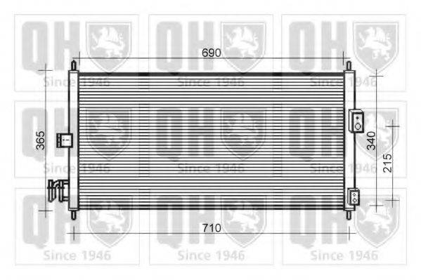 QUINTON HAZELL QCN579